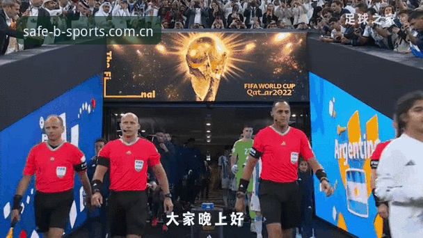 世界杯观赛签证难题全解析——在b体育平台追踪赛事动态的操作教程